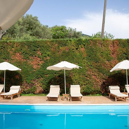 بورش Vila Florika Hotel المظهر الخارجي الصورة