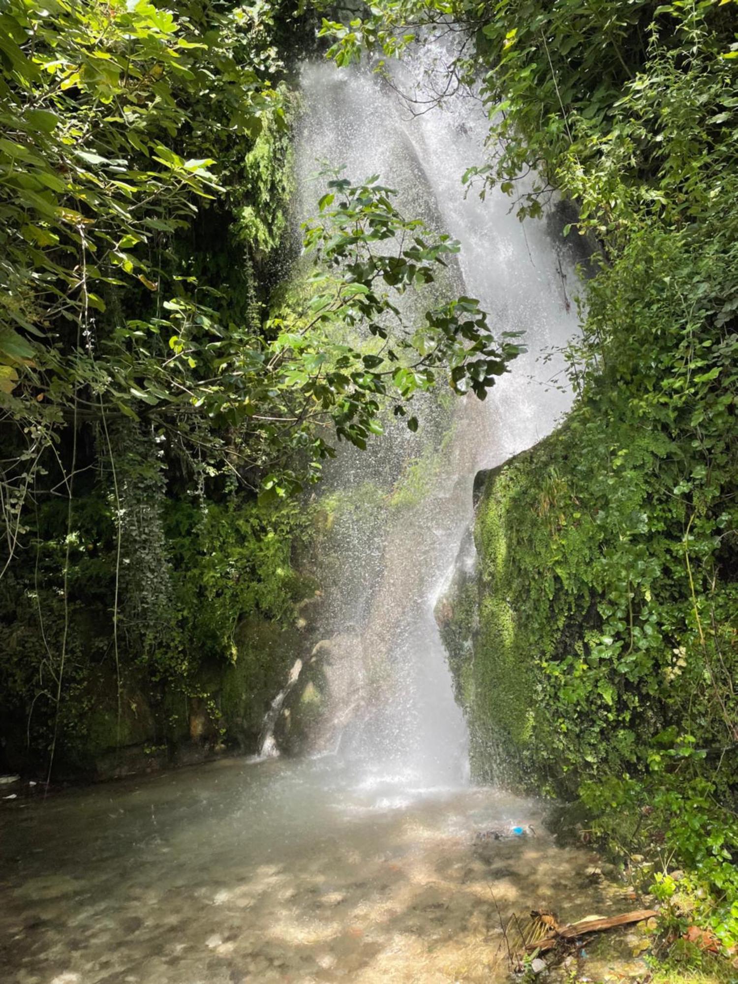 بورش Vila Florika Hotel المظهر الخارجي الصورة